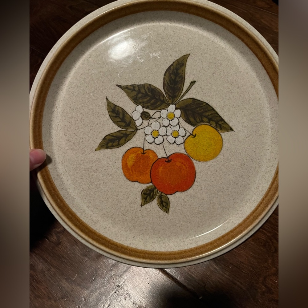Mikasa Stone Manor Tempting Dinner Plate F5812 oven to table to dishwasher fruit